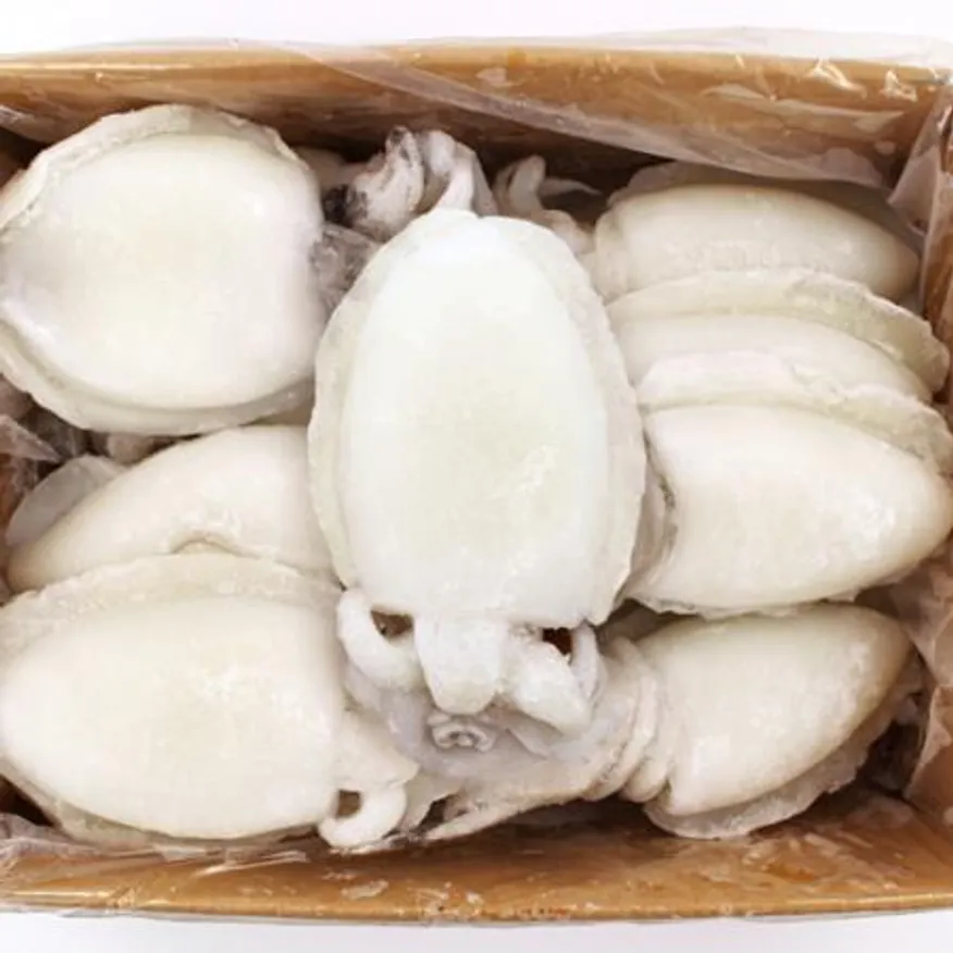 냉동 갑오징어 4kg(중) 200/300g 이미지