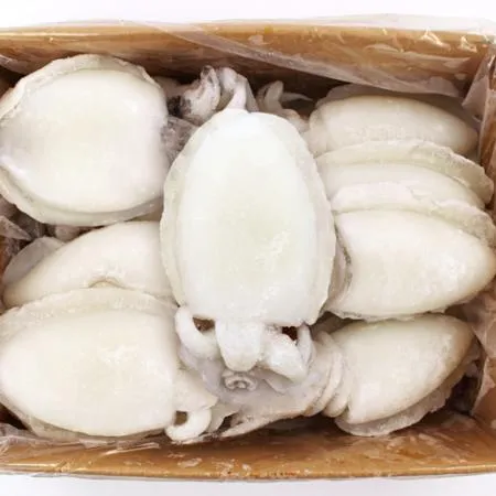 냉동 갑오징어 4kg(중) 200/300g