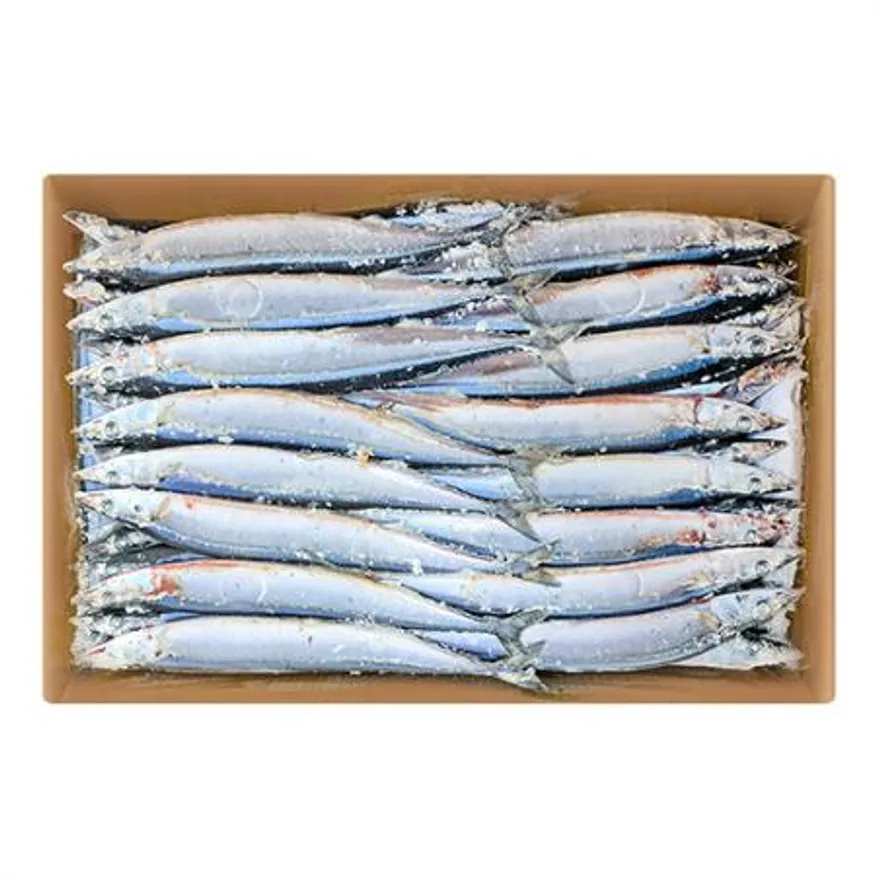업소용 대용량 꽁치 9kg 냉동꽁치 1번 구이용 낚시용 생선 이미지