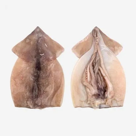 업소용 국내가공 선동 냉동오징어 8kg 벌크 국내산 손질 할복 활복 이미지