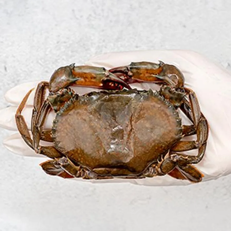 업소용 소프트쉘크랩 100/120 9kg(900g x 10팩) 냉동 탈피 꽃게 푸팟퐁커리 타이요리 이미지