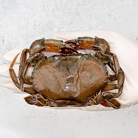 업소용 소프트쉘크랩 100/120 9kg(900g x 10팩) 냉동 탈피 꽃게 푸팟퐁커리 타이요리 이미지