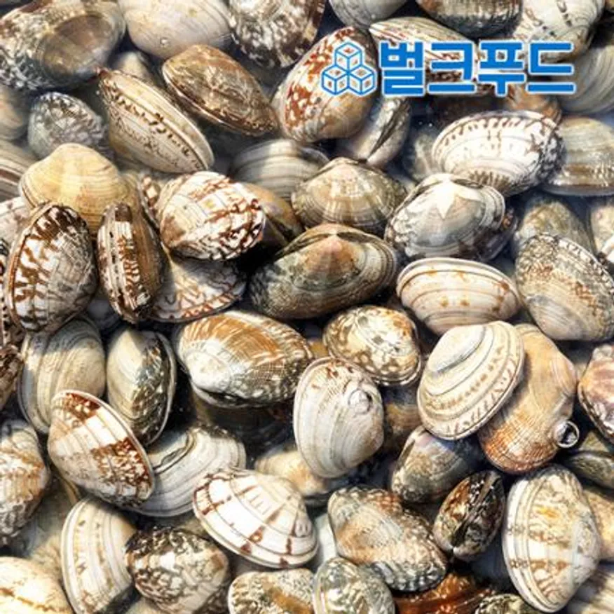 생물 바지락 15kg (칼국수, 술찜, 파스타) 이미지