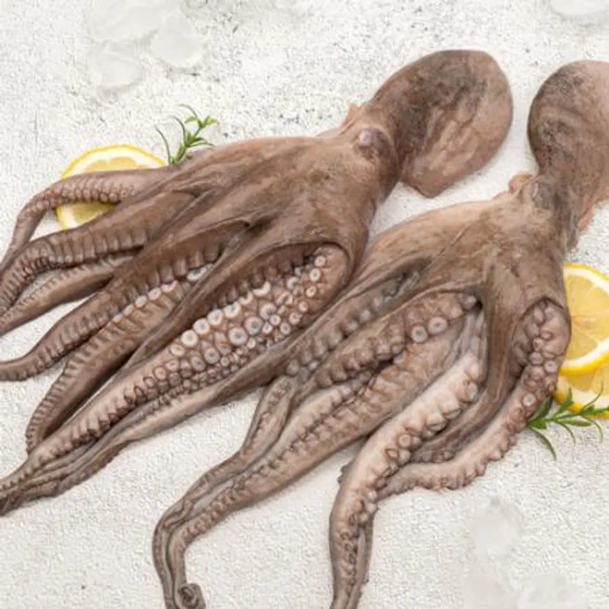 모리토니아 세척 냉동문어 8kg (10/16미) 업소용 손질 문어숙회 이미지