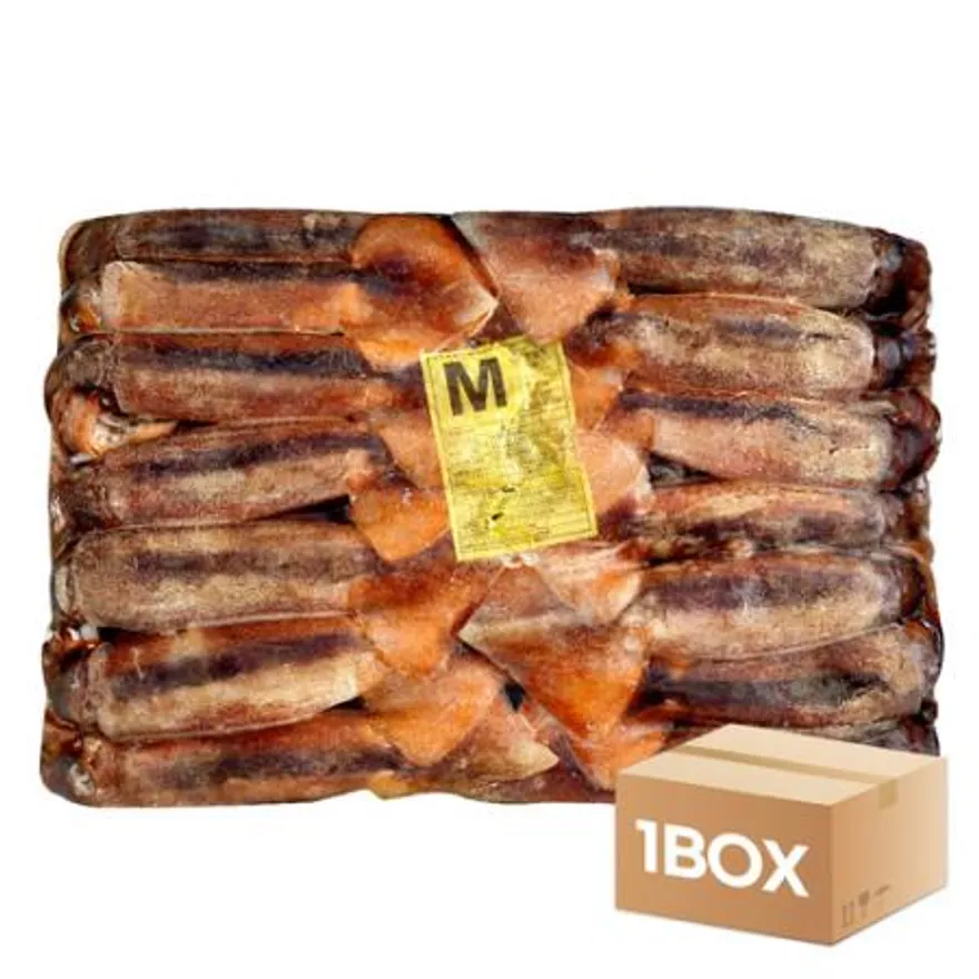 원양산 선동오징어 M사이즈 20kg 이미지