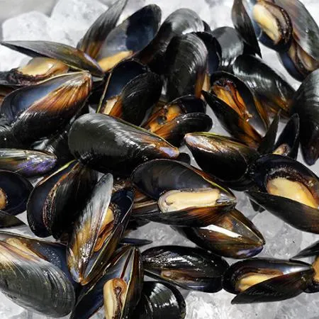 국내산 자숙 홍합 10kg 이미지