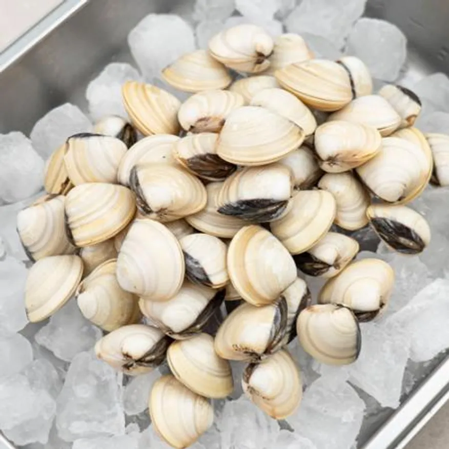 대용량 백합 조개 5kg(1kg x 5팩) 백생합 백상합 칼국수 이미지