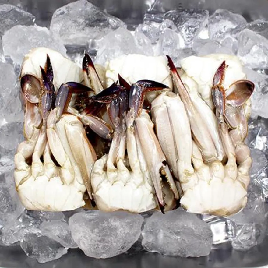 냉동 절단 꽃게 5.4kg 대(L) 이미지