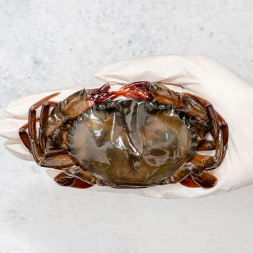 업소용 소프트쉘크랩 70/100 9kg(900g x 10팩) 냉동 탈피 꽃게 푸팟퐁커리 타이요리 이미지