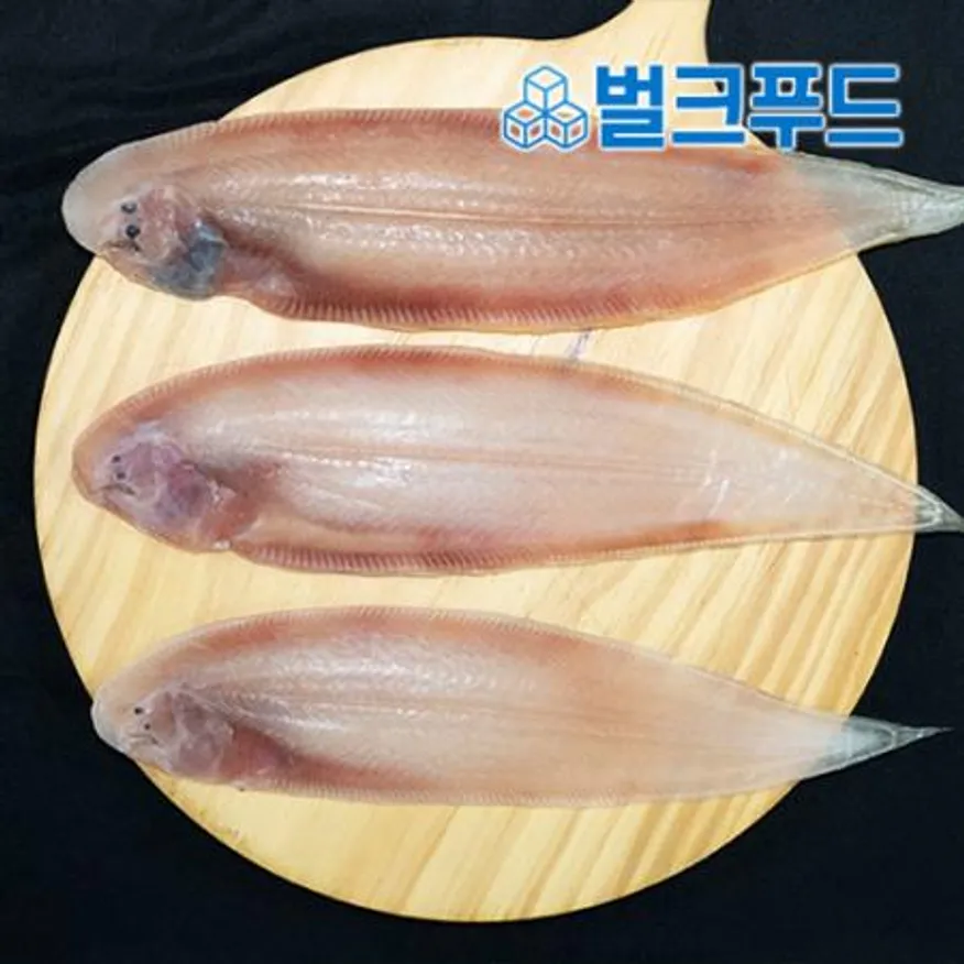 반건조 박대(왕특대) 10마리 (조림, 구이용) 이미지