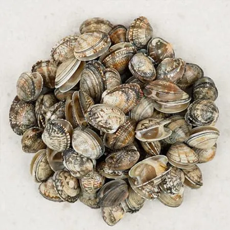 업소용 냉동 바지락 60/80 5kg 해감 조개 피바지락 칼국수 이미지