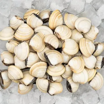 대용량 백합 조개 5kg(1kg x 5팩) 백생합 백상합 칼국수