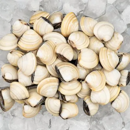 대용량 백합 조개 5kg(1kg x 5팩) 백생합 백상합 칼국수