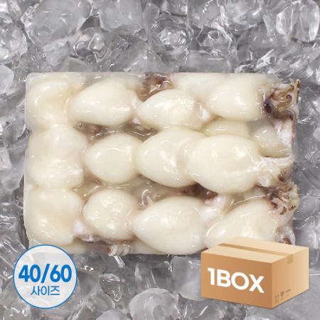 미니 갑오징어 2.16kg 12미(40/60) 베이비이까