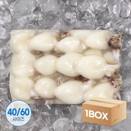 미니 갑오징어 2.16kg 12미(40/60) 베이비이까