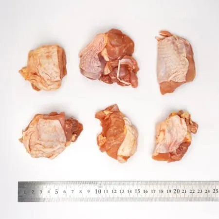 염지 닭정육 2kg 닭다리살 냉동 순살 닭고기  이미지