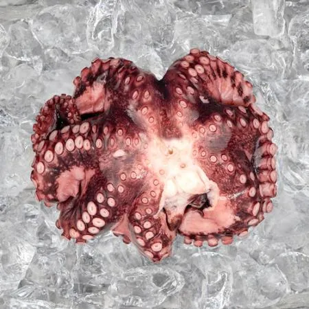 업소용 자숙문어 9-12미 8kg 냉동 손질 숙회 무침