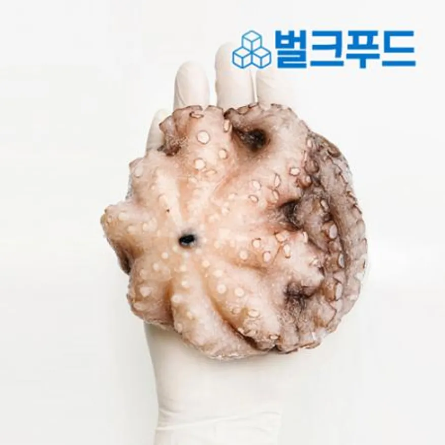 모리토니아 세척 냉동문어 8kg (20/25미) 업소용 손질 문어숙회 이미지