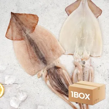 업소용 국내가공 선동 냉동오징어 8kg 벌크 국내산 손질 할복 활복