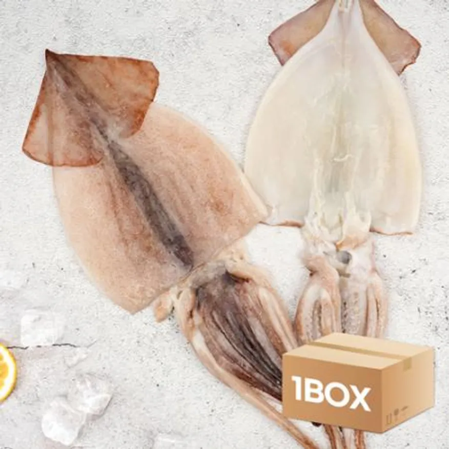 업소용 국내가공 선동 냉동오징어 8kg 벌크 국내산 손질 할복 활복 이미지