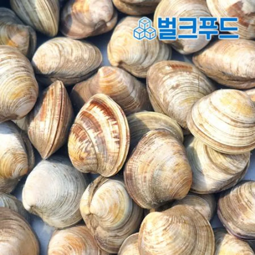 백합 조개 2kg (백상합, 칼국수, 찜, 구이) 이미지