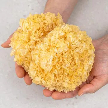 업소용 목이버섯 1kg 흰목이 백목이 은이 건목이 버섯 건조 마라탕