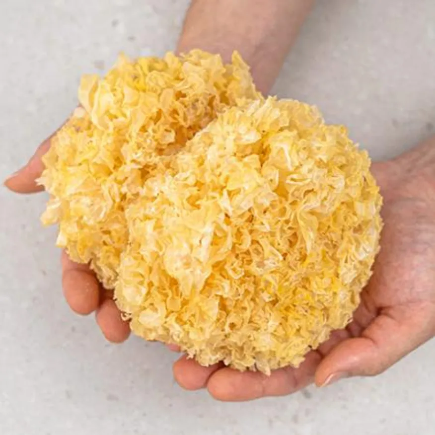 업소용 목이버섯 1kg 흰목이 백목이 은이 건목이 버섯 건조 마라탕 이미지