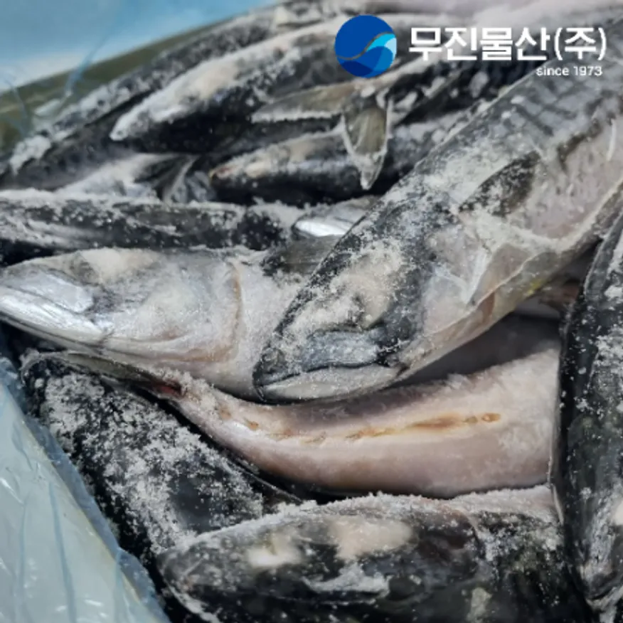 노르웨이고등어 원물 300/500 20kg 이미지