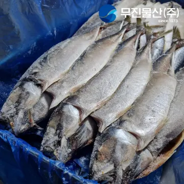 국산 부산 자반고등어 20손 중 업소용 간고등어