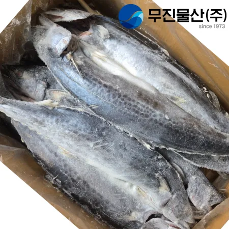 삼치 버터플라이 [300/500] 10kg