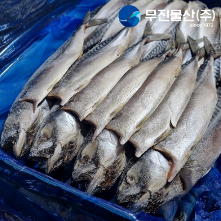노르웨이 자반고등어 20손 대 업소용 간고등어 