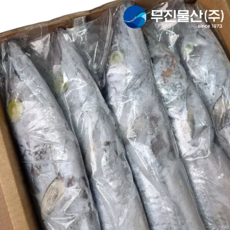 갈치 A급 500/700 8kg 오만