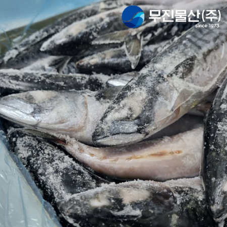 노르웨이고등어 원물 400/600 20kg