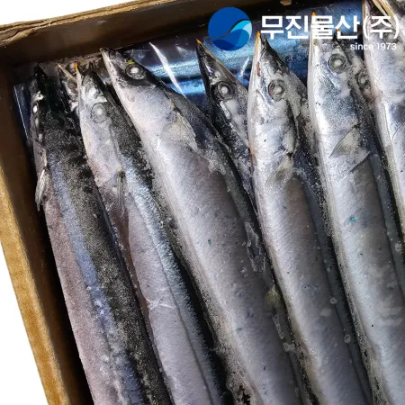 꽁치 2번 80미 내외 9kg 생선구이 대만산 