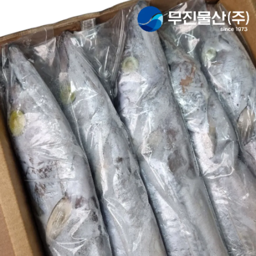 갈치 A급 400/500 8kg 오만 이미지