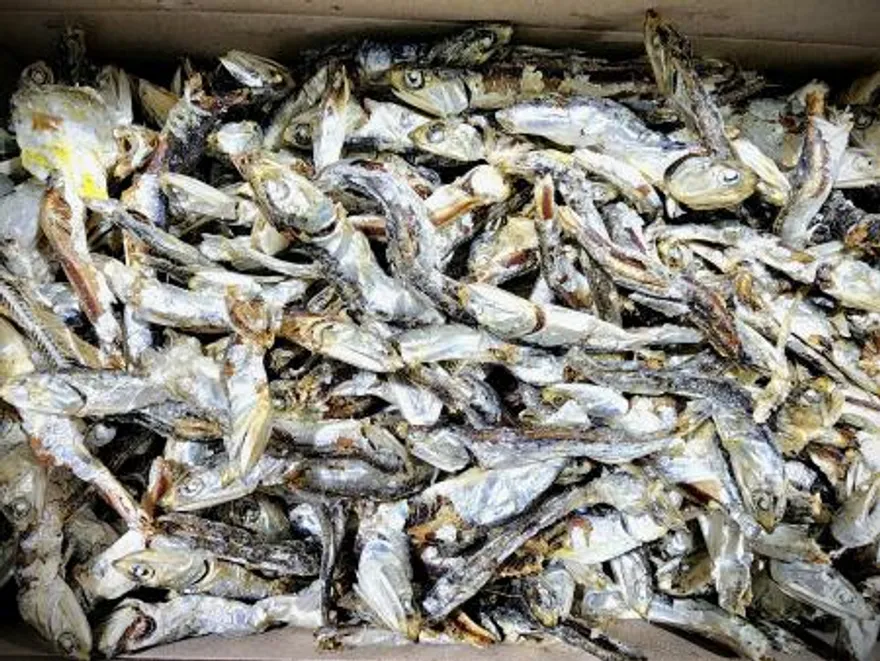 국산 국물용 다시멸치 1.5kg 이미지
