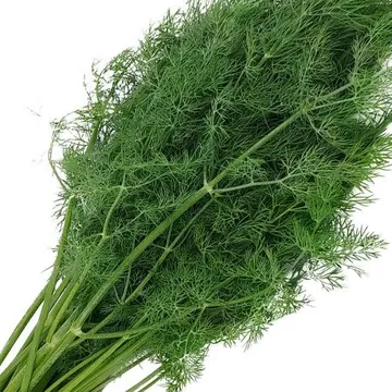 국내산 특품 생허브 딜 반박스 500g