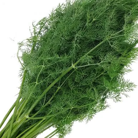 국내산 특품 생허브 딜 반박스 500g