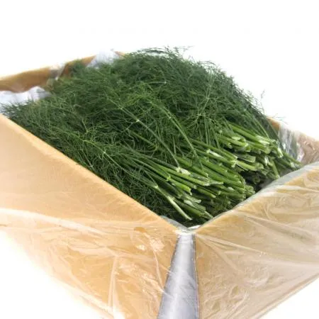 국내산 특품 생허브 딜 한박스 1kg