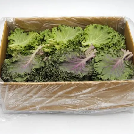 국내산 특품 로즈케일 한박스 1kg 이미지