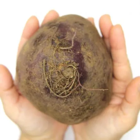국내산 레드 비트 5kg