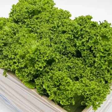 친환경 무농약 프릴아이스 상추 한박스 3kg