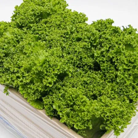 친환경 무농약 프릴아이스 상추 한박스 3kg