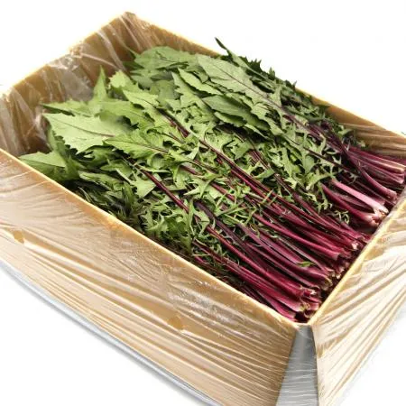 국내산 특품 적치커리 한박스 2kg