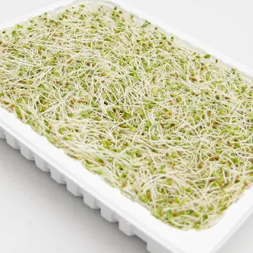 푸레아 국내산 크로바싹 한박스 1kg