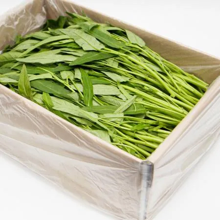 국내산 특품 공심채 반박스 500g