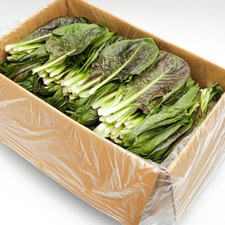 국내산 특품 치콘 한박스 2kg