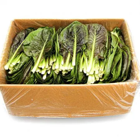 국내산 특품 치콘 한박스 2kg 이미지