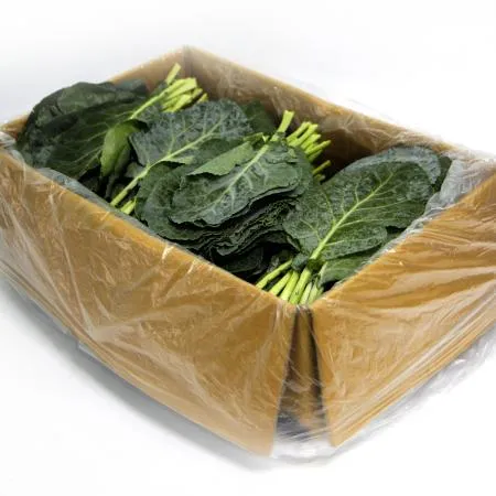 국내산  케일 한박스 2kg