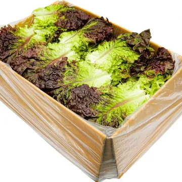 국내산 특품 꽃상추 한박스 2kg